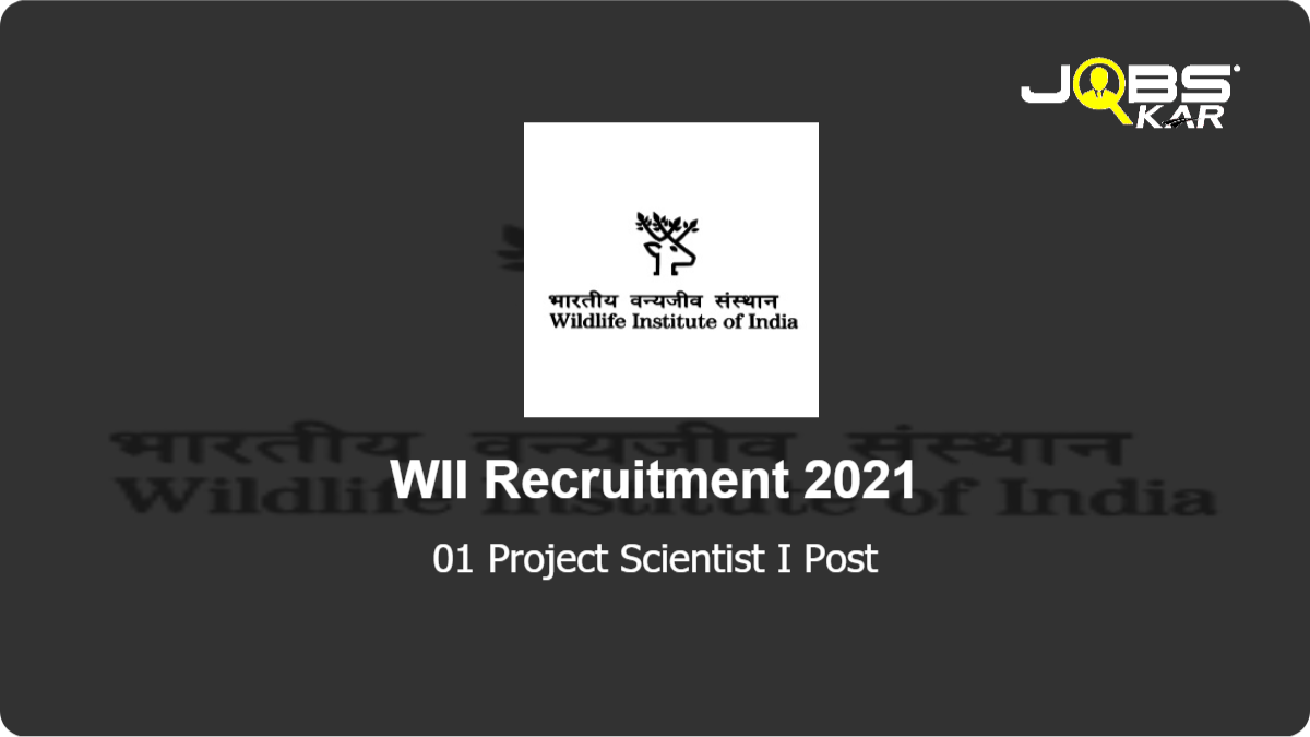 WII Recruitment 2021: Apply Online for Project Scientist I Post