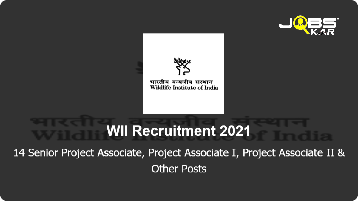 WII Recruitment 2021: Apply Online for 14 Senior Project Associate, Project Associate I, Project Associate II, Post Doctoral Fellow, Project Scientist I Posts