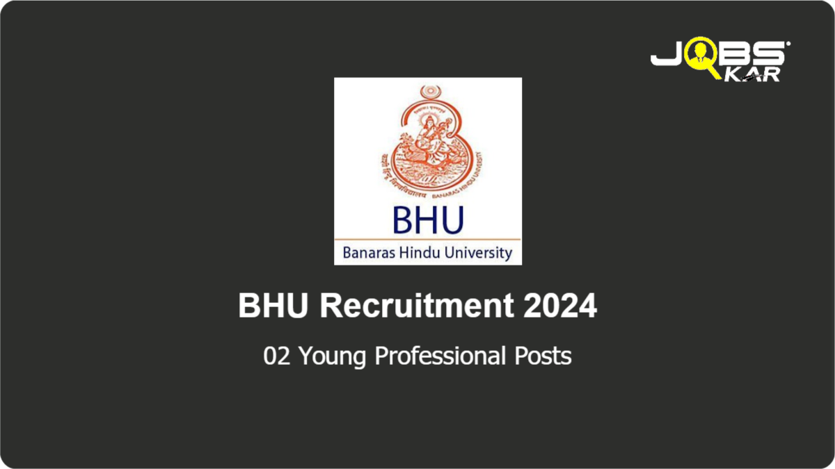 BHU Recruitment 2024: Apply for Young Professional Posts